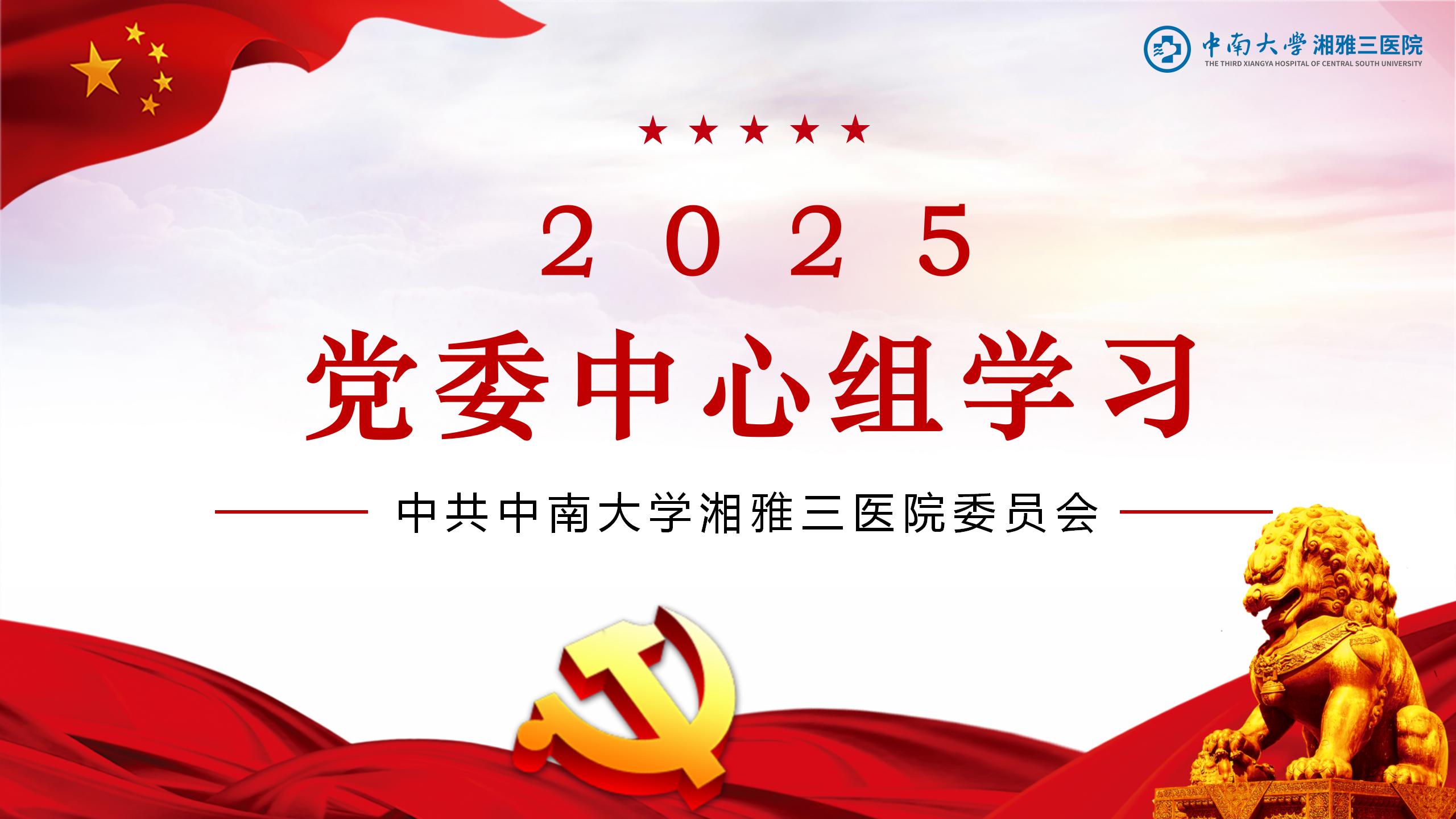 2025年党委理论中心组学习